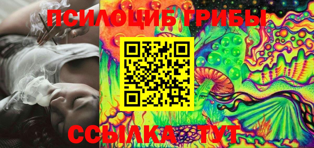 Сегежа  Галлюциногенные грибы прущие грибы  Вход с VPN 