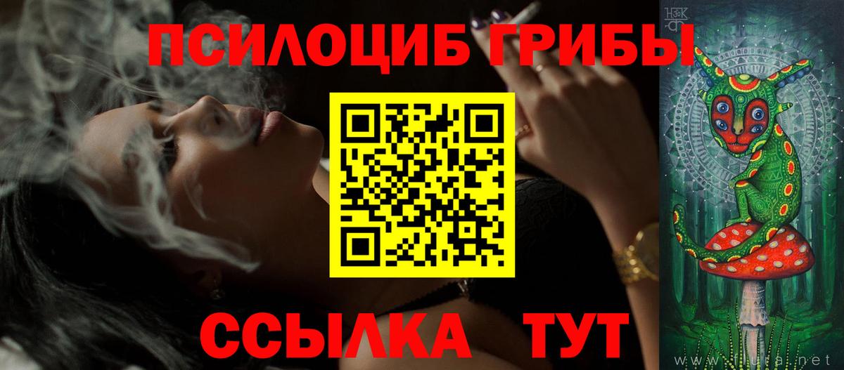 Псилоцибиновые грибы ЛСД Сегежа
